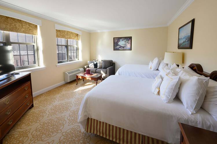 Premium Double bedroom with two beds and a TV